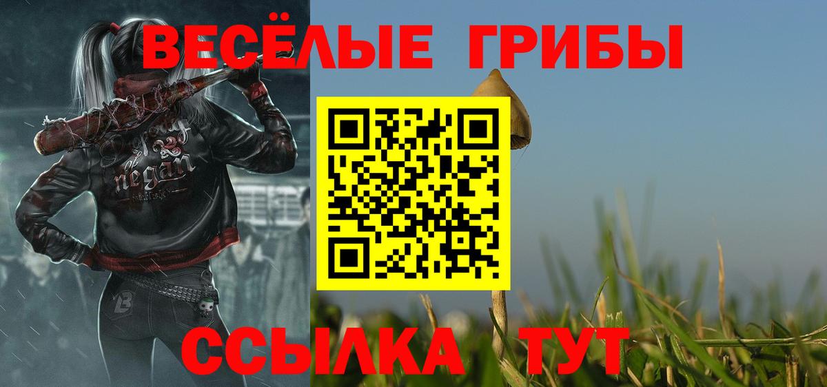 Киселёвск  Псилоцибиновые грибы Magic Shrooms  Вход с VPN 